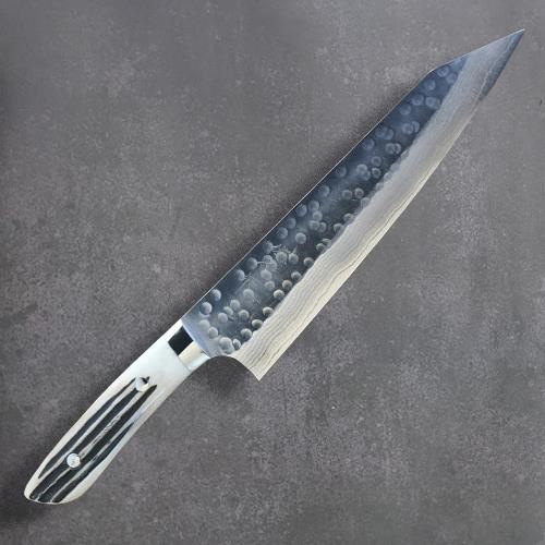 Takeshi Saji Gyuto 210mm SRS13
